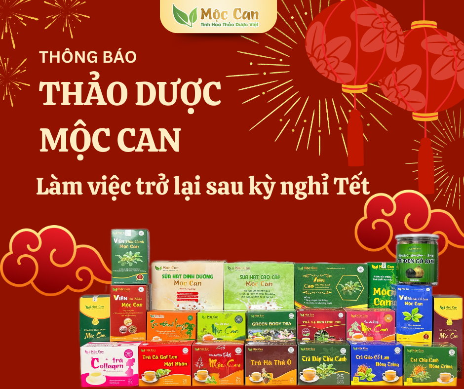THẢO DƯỢC MỘC CAN TRỞ LẠI LÀM VIỆC SAU KÌ NGHỈ TẾT 1